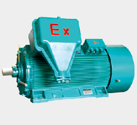 yb2系列高壓防爆電動(dòng)機(jī)